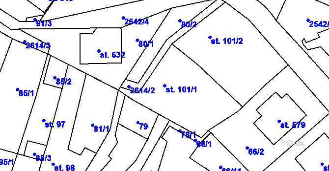 Parcela st. 101/1 v KÚ Třebenice, Katastrální mapa