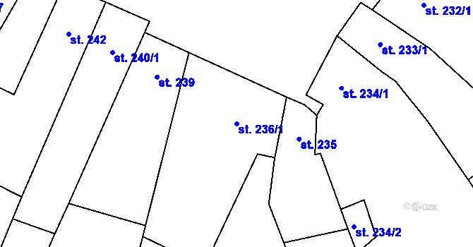 Parcela st. 236/1 v KÚ Třebenice, Katastrální mapa