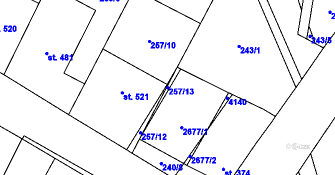 Parcela st. 257/13 v KÚ Třebenice, Katastrální mapa