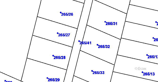 Parcela st. 265/41 v KÚ Třebenice na Moravě, Katastrální mapa