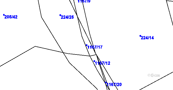 Parcela st. 1167/17 v KÚ Třebešice u Divišova, Katastrální mapa