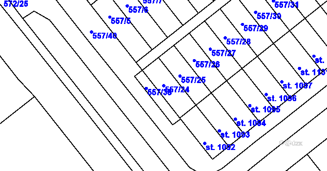 Parcela st. 557/24 v KÚ Podklášteří, Katastrální mapa
