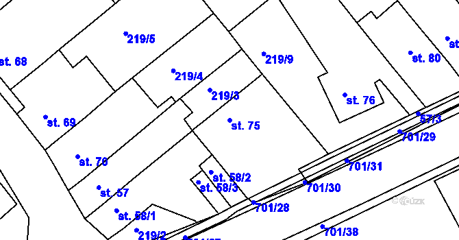 Parcela st. 75 v KÚ Týn u Třebíče, Katastrální mapa