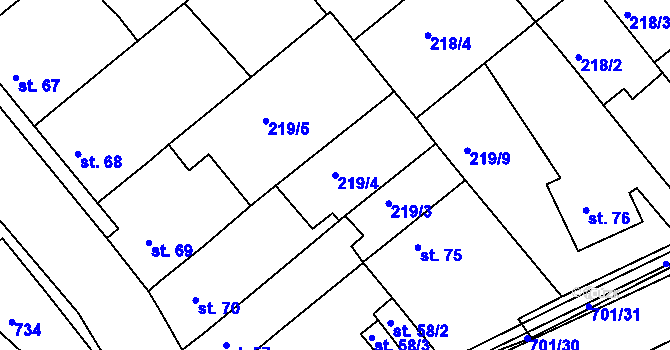 Parcela st. 219/4 v KÚ Týn u Třebíče, Katastrální mapa