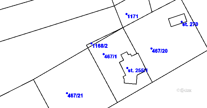 Parcela st. 467/1 v KÚ Třebichovice, Katastrální mapa