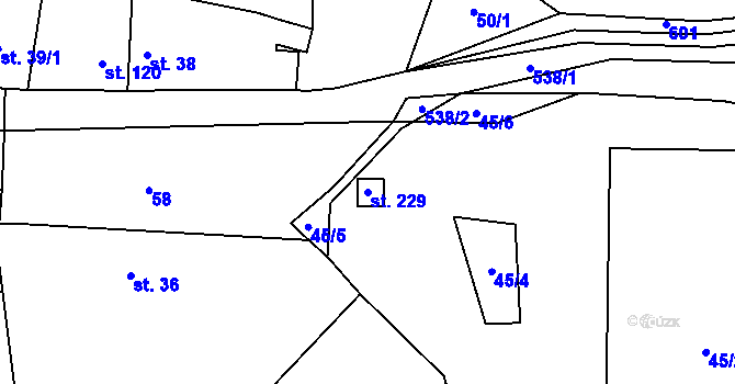 Parcela st. 229 v KÚ Třebívlice, Katastrální mapa