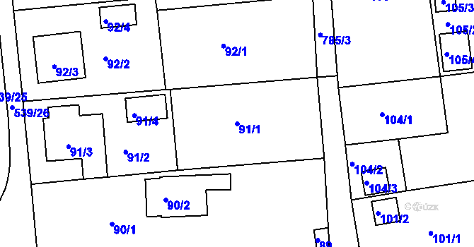 Parcela st. 91/1 v KÚ Třebnice u Domažlic, Katastrální mapa