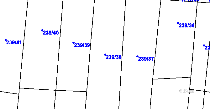 Parcela st. 239/38 v KÚ Třeboc, Katastrální mapa