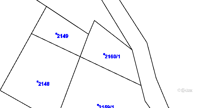 Parcela st. 2160/1 v KÚ Třebohostice, Katastrální mapa