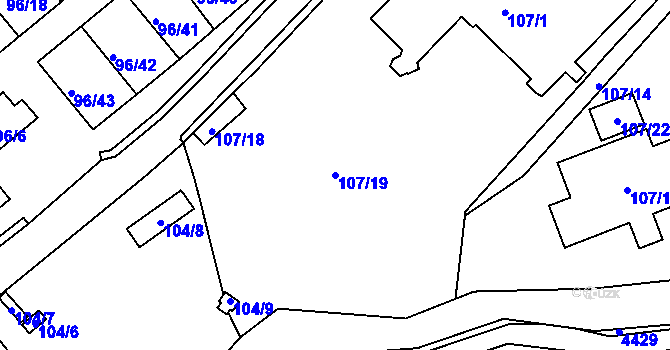 Parcela st. 107/19 v KÚ Třeboň, Katastrální mapa