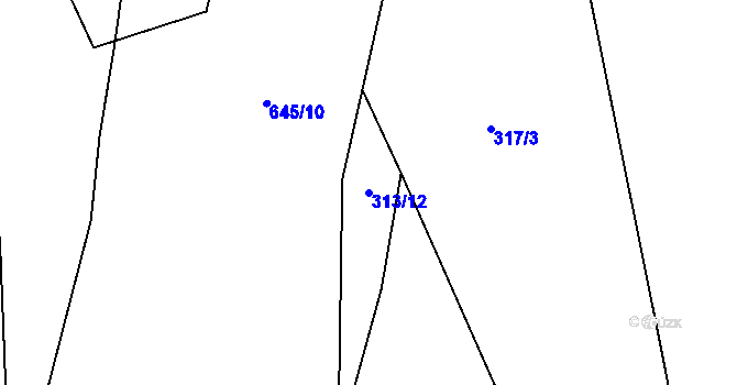 Parcela st. 313/12 v KÚ Třebonice, Katastrální mapa