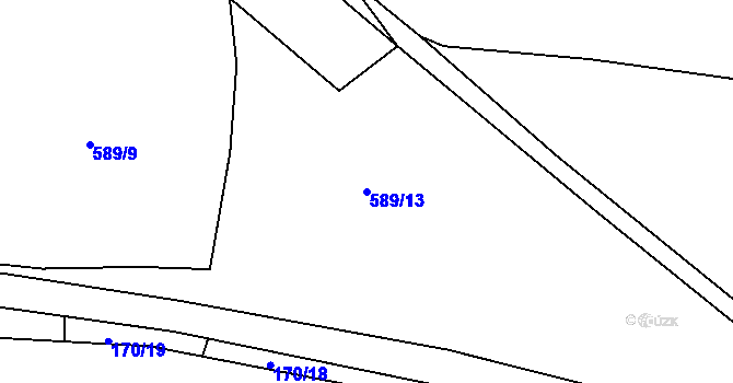 Parcela st. 589/13 v KÚ Třebouň, Katastrální mapa