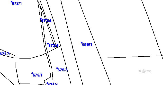 Parcela st. 699/1 v KÚ Třebouň, Katastrální mapa