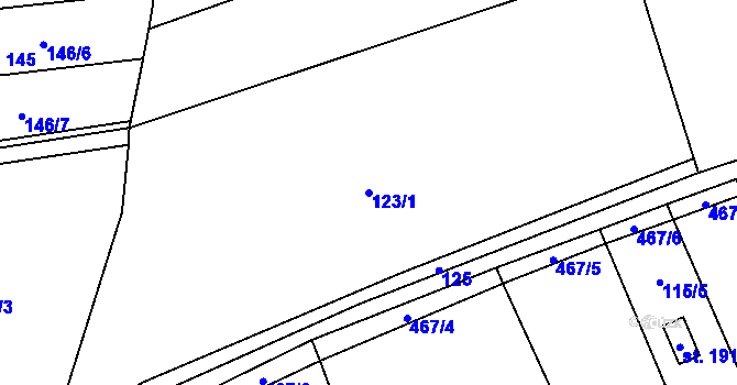 Parcela st. 123/1 v KÚ Třeboutice, Katastrální mapa