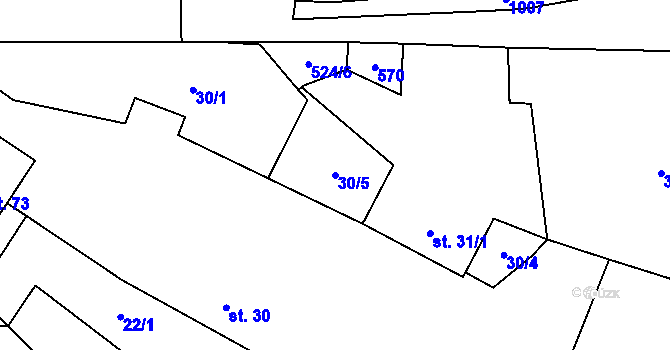 Parcela st. 30/5 v KÚ Třebsko, Katastrální mapa