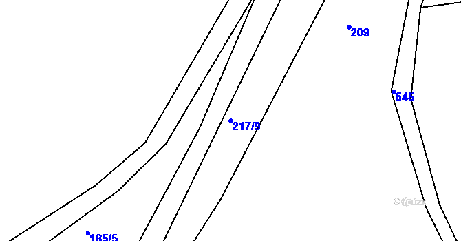 Parcela st. 217/9 v KÚ Dolní Týnec, Katastrální mapa