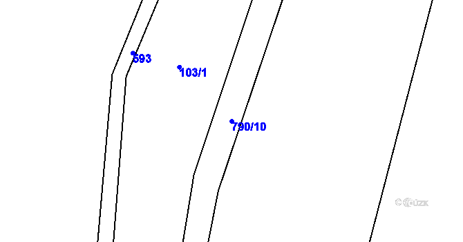 Parcela st. 790/10 v KÚ Horní Týnec, Katastrální mapa