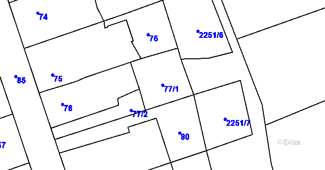 Parcela st. 77/1 v KÚ Třemošná, Katastrální mapa