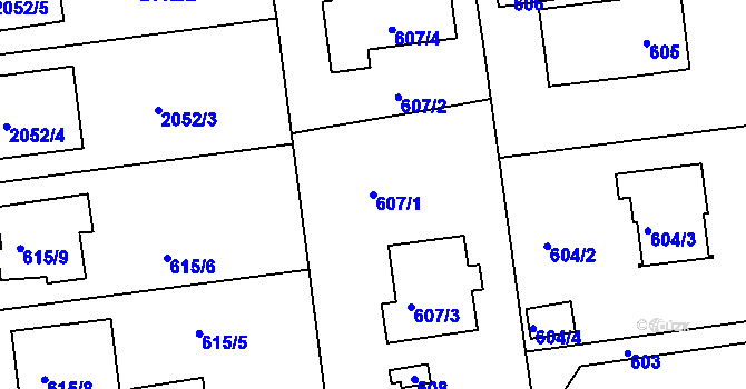 Parcela st. 607/1 v KÚ Třemošná, Katastrální mapa