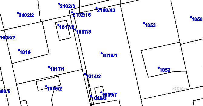 Parcela st. 1019/1 v KÚ Třemošná, Katastrální mapa