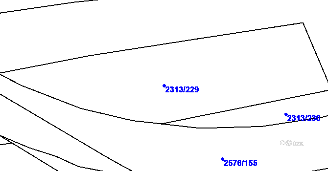 Parcela st. 2313/229 v KÚ Třemošná, Katastrální mapa