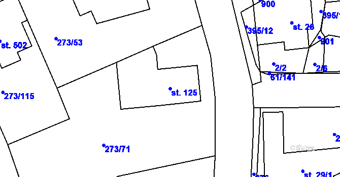 Parcela st. 125 v KÚ Třemošnice nad Doubravou, Katastrální mapa
