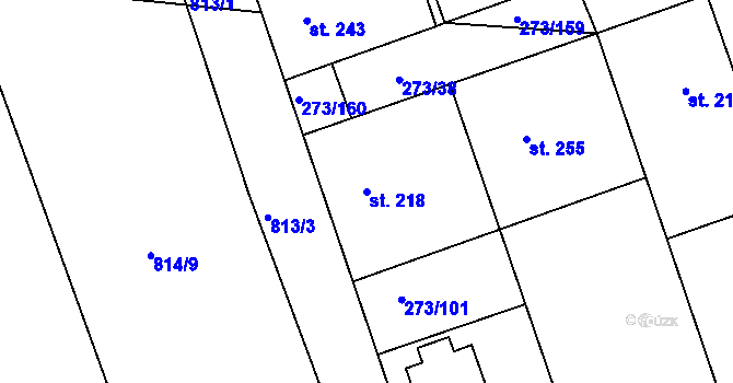 Parcela st. 218 v KÚ Třemošnice nad Doubravou, Katastrální mapa
