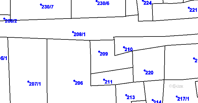Parcela st. 209 v KÚ Třešť, Katastrální mapa