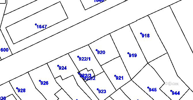 Parcela st. 920 v KÚ Třešť, Katastrální mapa
