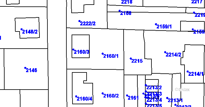 Parcela st. 2160/1 v KÚ Třešť, Katastrální mapa
