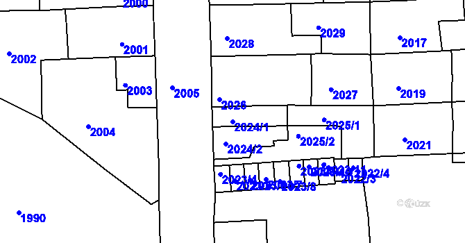 Parcela st. 2024/1 v KÚ Třešť, Katastrální mapa