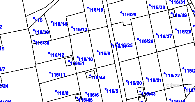 Parcela st. 116/9 v KÚ Lyžbice, Katastrální mapa