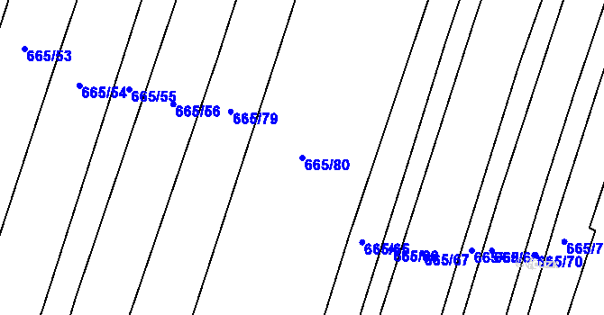 Parcela st. 665/80 v KÚ Třtice u Nového Strašecí, Katastrální mapa