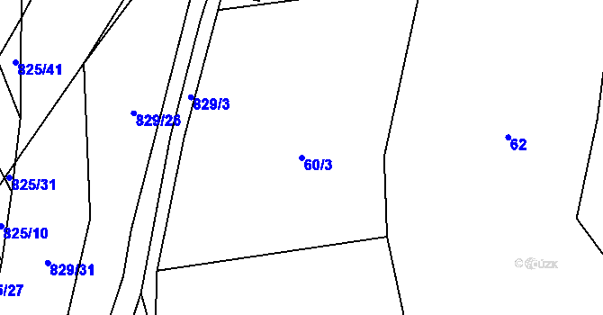 Parcela st. 60/3 v KÚ Tučapy, Katastrální mapa