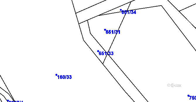 Parcela st. 651/33 v KÚ Tučapy, Katastrální mapa