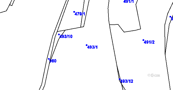 Parcela st. 493/1 v KÚ Pavličky, Katastrální mapa
