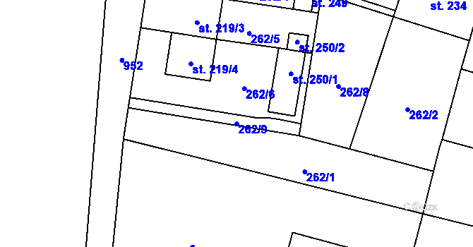 Parcela st. 262/9 v KÚ Tuněchody, Katastrální mapa