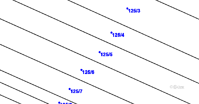 Parcela st. 125/5 v KÚ Schořov, Katastrální mapa