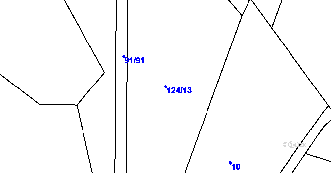 Parcela st. 124/13 v KÚ Tupesy u Přelouče, Katastrální mapa