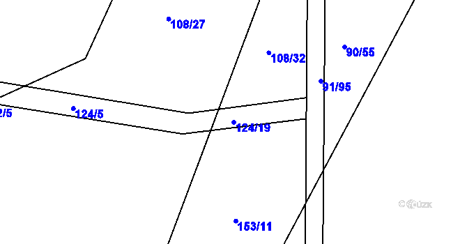 Parcela st. 124/19 v KÚ Tupesy u Přelouče, Katastrální mapa