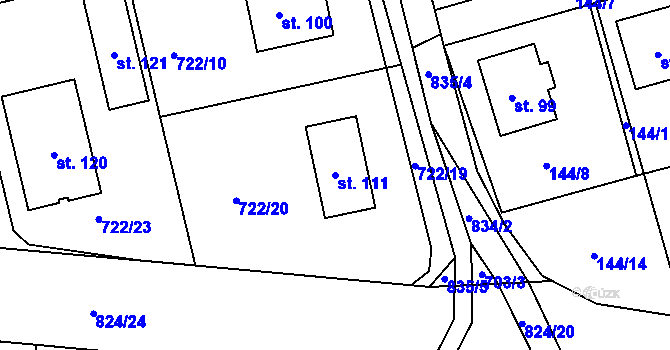 Parcela st. 111 v KÚ Turkovice u Přelouče, Katastrální mapa