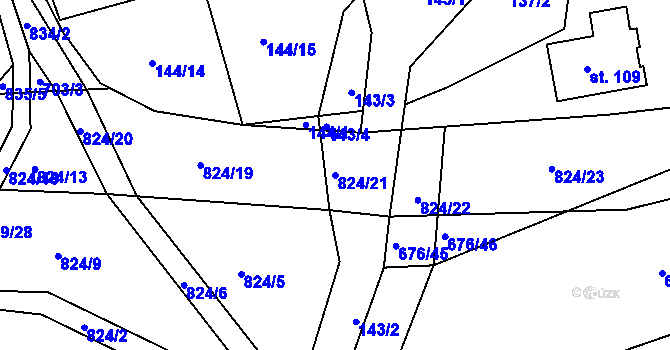 Parcela st. 824/21 v KÚ Turkovice u Přelouče, Katastrální mapa