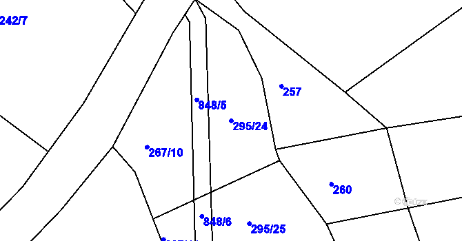 Parcela st. 295/24 v KÚ Turkovice u Přelouče, Katastrální mapa
