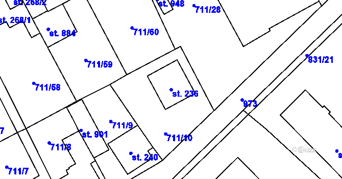 Parcela st. 236 v KÚ Daliměřice, Katastrální mapa