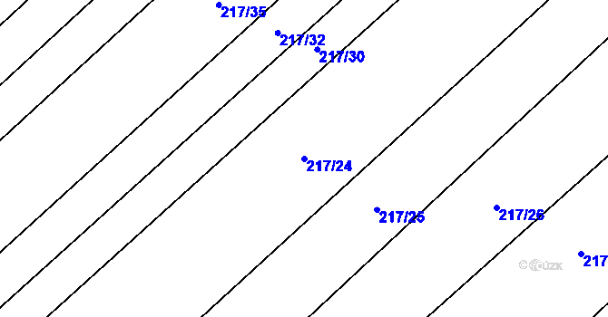 Parcela st. 217/24 v KÚ Turovka, Katastrální mapa