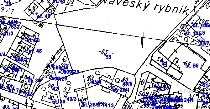 Parcela st. 55 v KÚ Tursko, Katastrální mapa