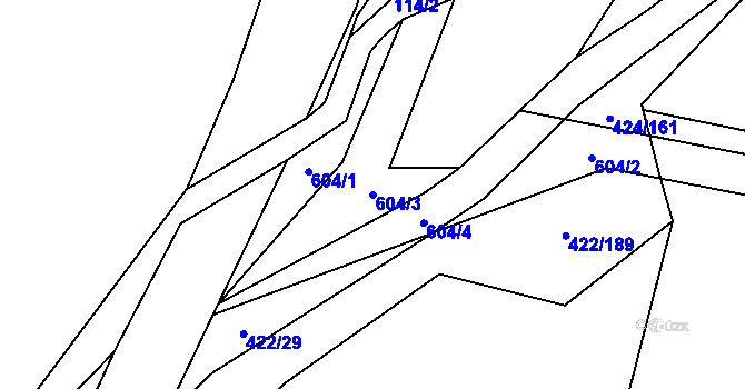 Parcela st. 604/3 v KÚ Kacákova Lhota, Katastrální mapa