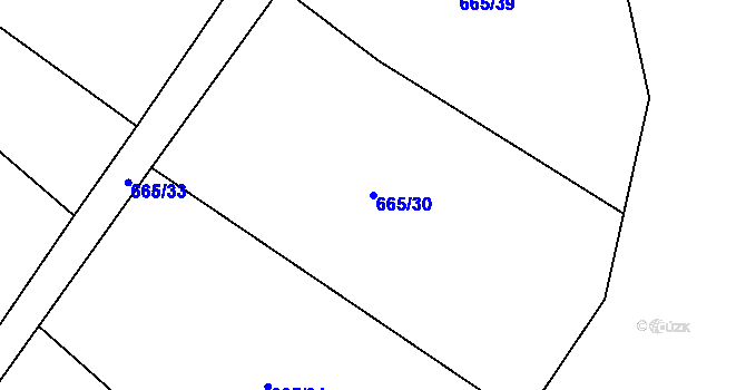 Parcela st. 665/30 v KÚ Tuř, Katastrální mapa