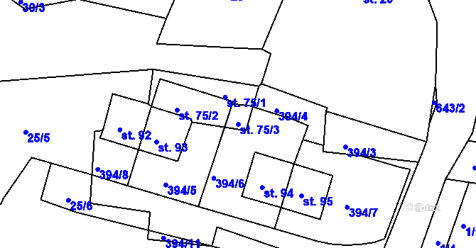 Parcela st. 75/3 v KÚ Tuřany u Kynšperku nad Ohří, Katastrální mapa