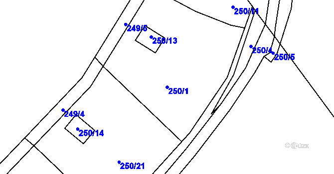 Parcela st. 250/1 v KÚ Tušimice, Katastrální mapa